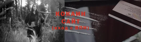 эйфоретик Ладушкин