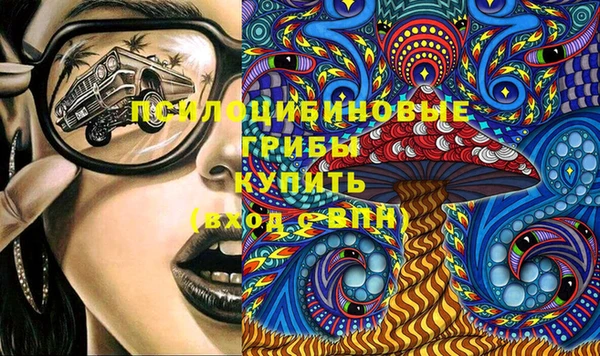 прущие грибы Лагань