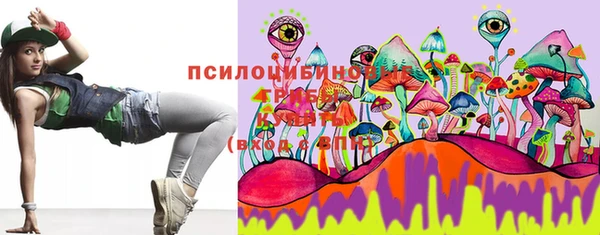 прущие грибы Лагань