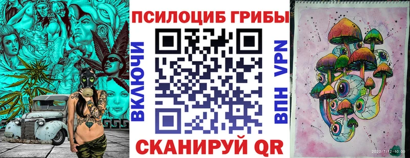 Купить где  Анапа  Псилоцибиновые грибы прущие грибы 